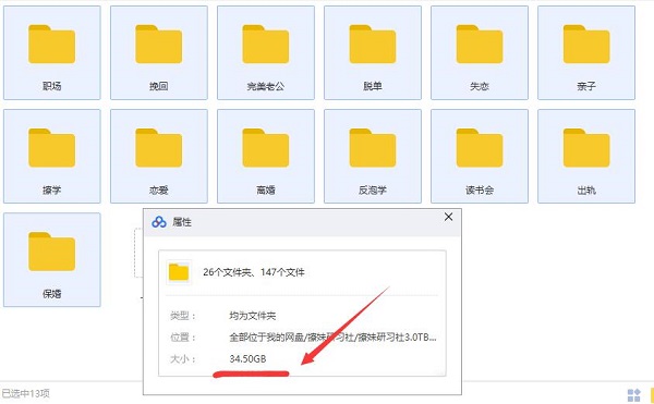 算爱研习社《陆琪15天脱单》完整版